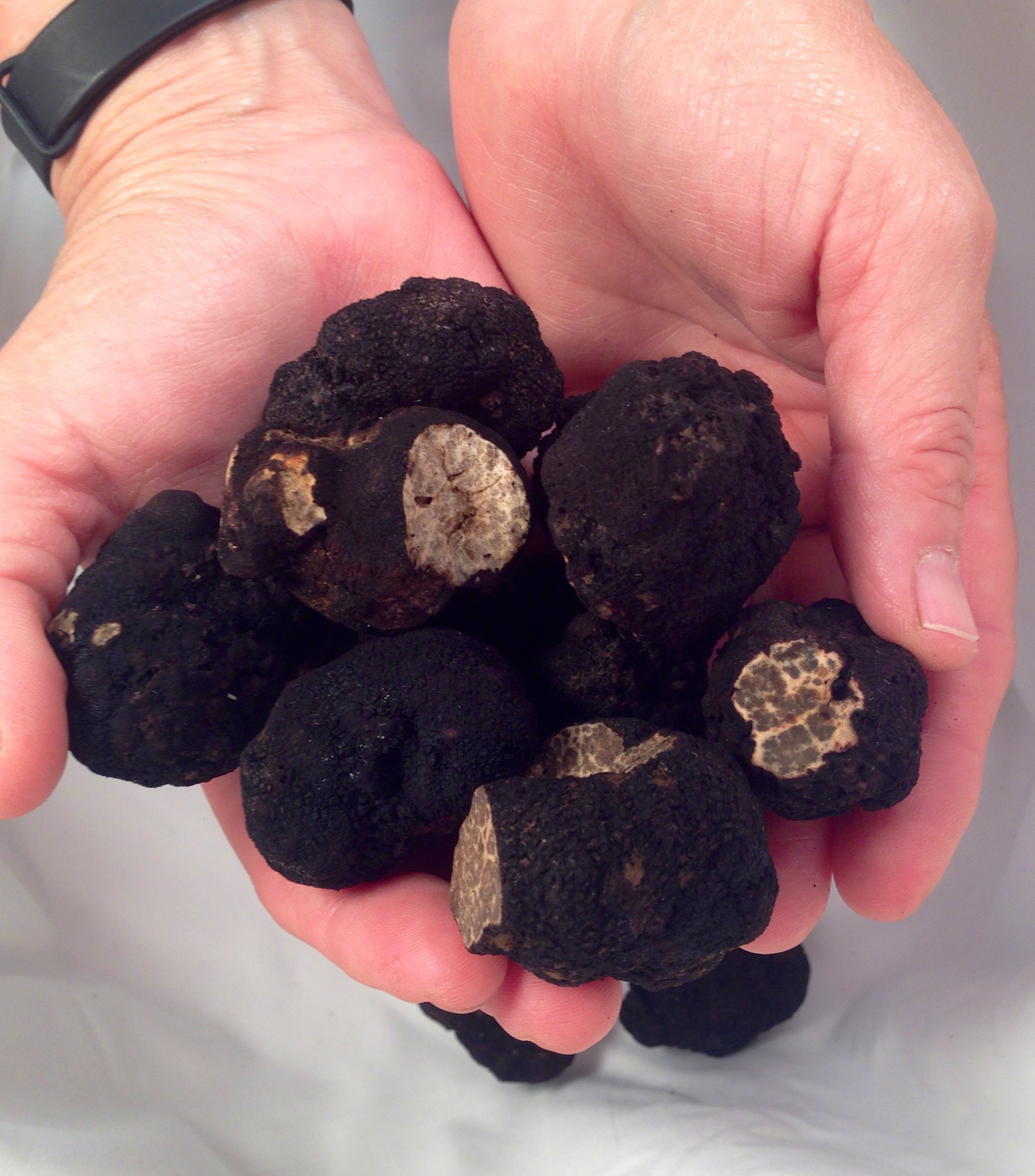 Oregon-black-truffles.jpg?resize=768