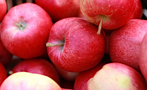 Red-fleshed: The science behind an uncommon apple breed - Fruit Growers News