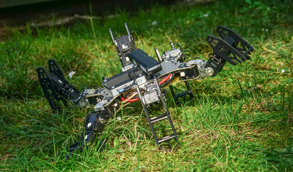 Robots that can adapt like animals