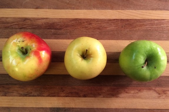 11 Types of Apples to Know