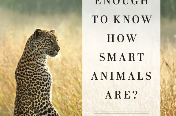 frans de waal are we smart enough