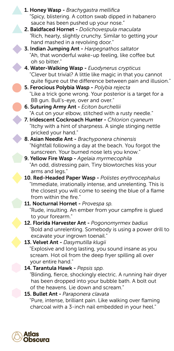 From ‘Nettles’ to ‘Volcano,’ a Pain Scale for Insect Stings - Science