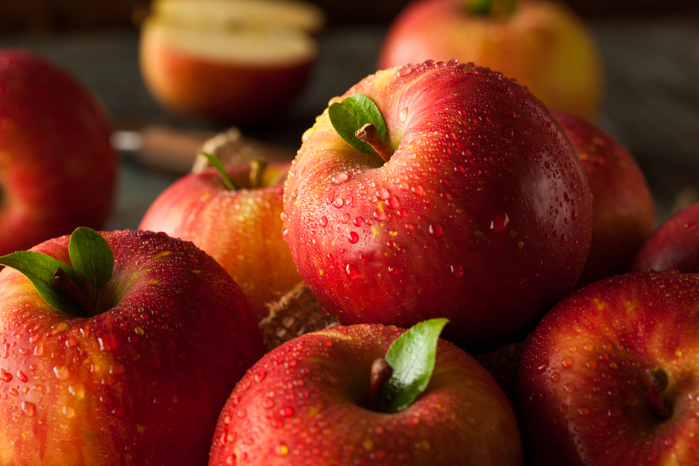 apples-to-apples-science-friday