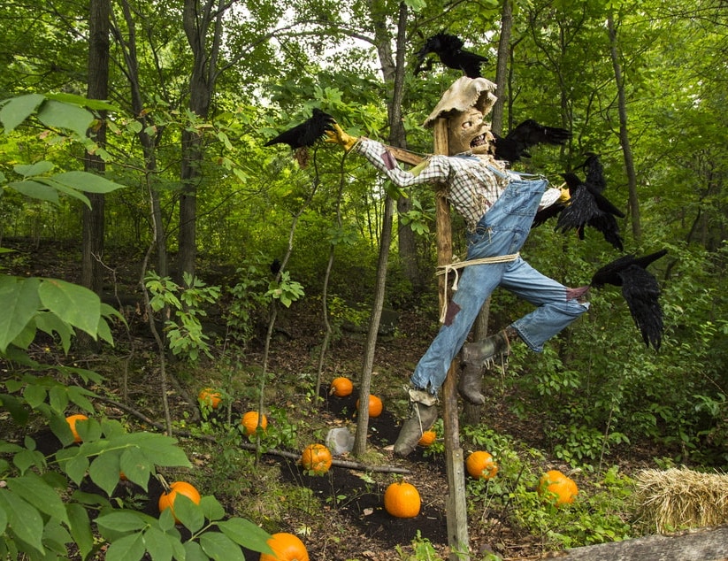 Farmers Ditch The Scarecrow, Bring Out The Big (Laser) Guns