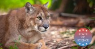 How To Track Florida Panthers