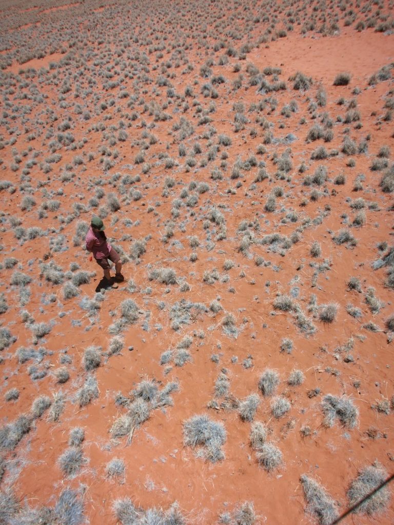 Visiting the Mysterious Fairy Circles of the Namib Desert - The
