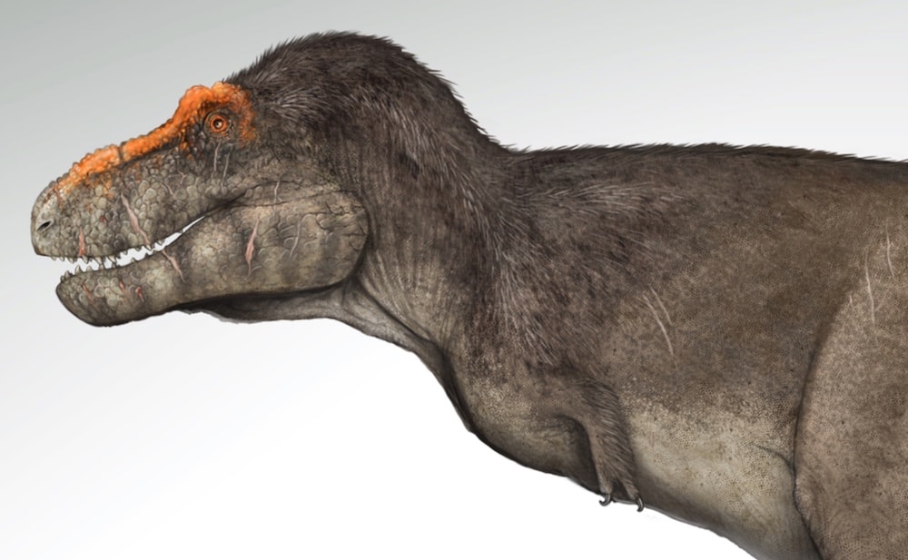 6 surprising facts about how T. rex came to be the dominating dino