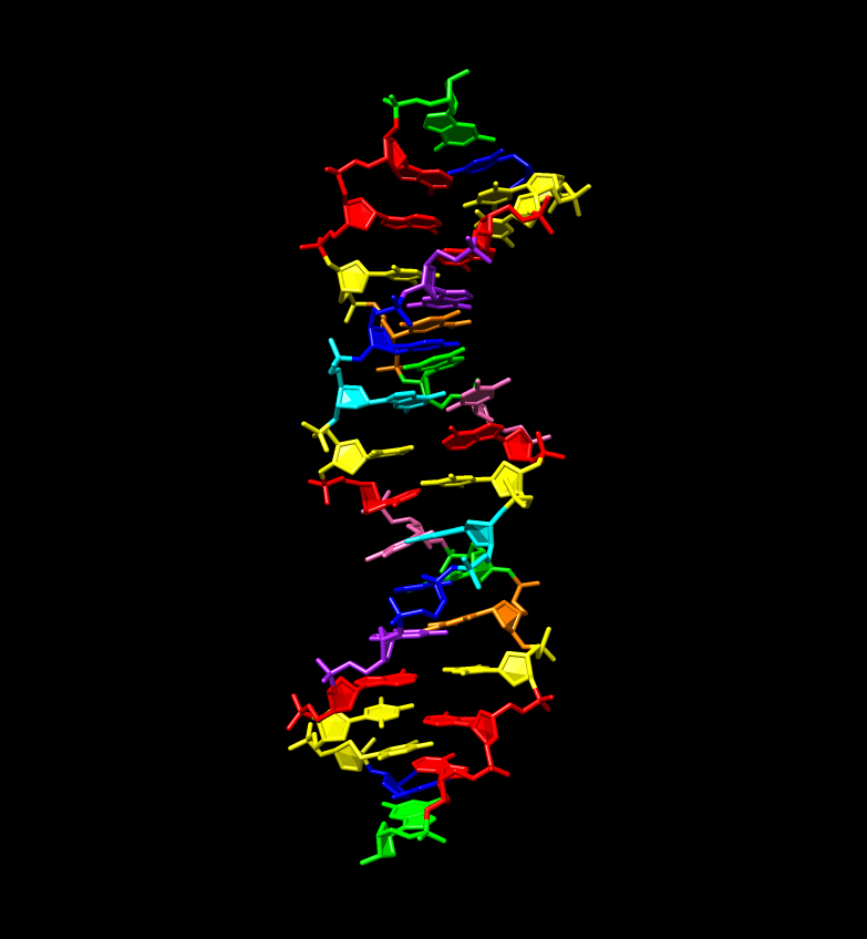 rewriting-the-genomic-alphabet