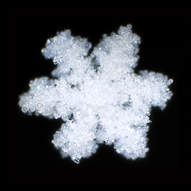Snowflakes and snow crystals can grow fairly large, but there are limits :  NPR