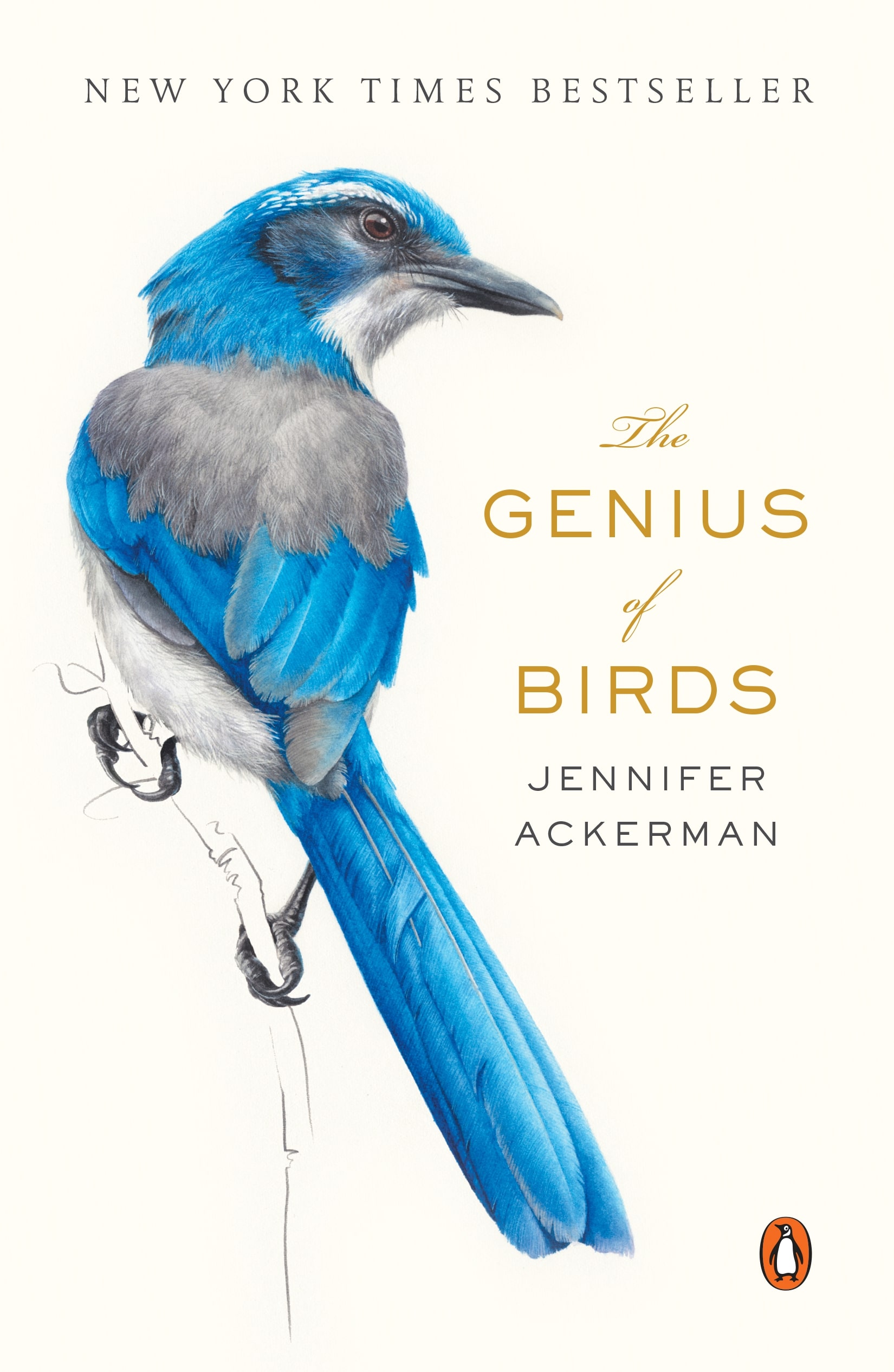 the genius of birds book