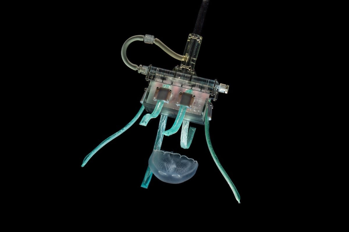 Jellyfish-Like Robot Can Carefully Grasp Fragile Objects