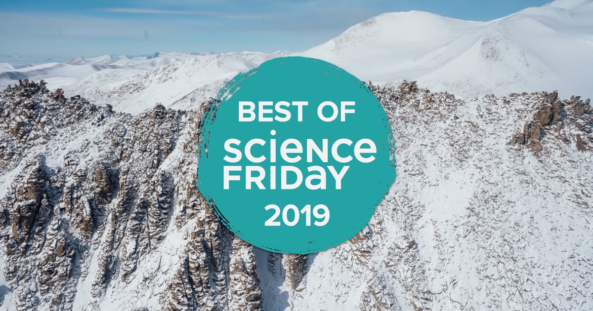 The Best Of Science Friday, 2019