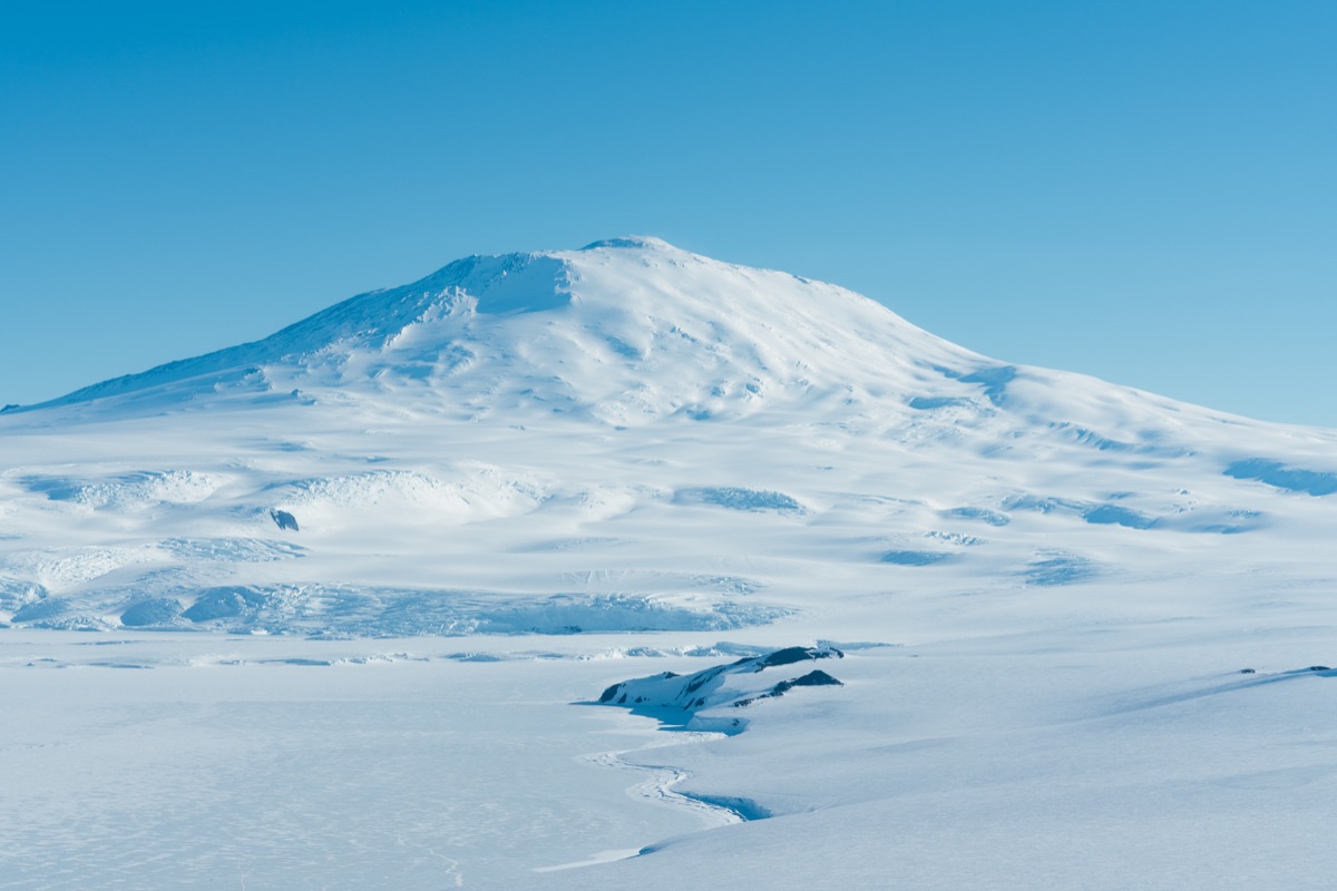 Scientists Discover An Ancient Rainforest In Antarctic Ice Cores