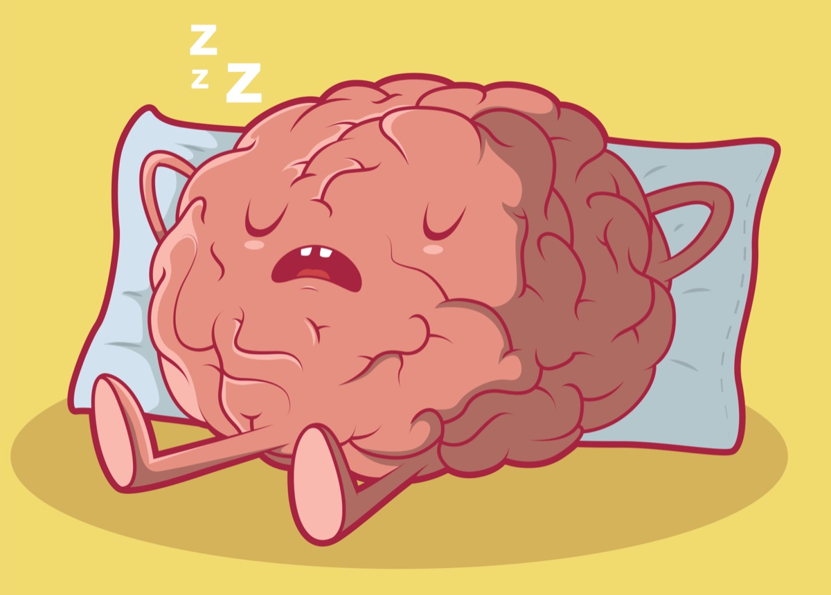 as-you-snooze-your-brain-reviews