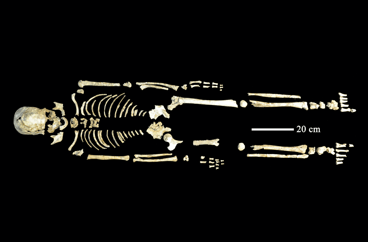 Mapping Migration In Asia Through Ancient Genomes