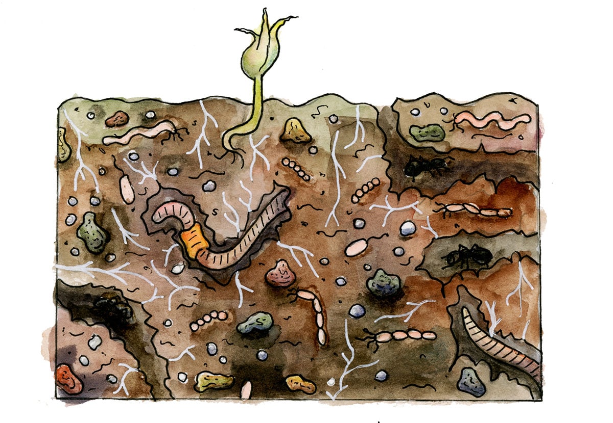 soil-engineering-the-relationship-between-soil-texture-and-function