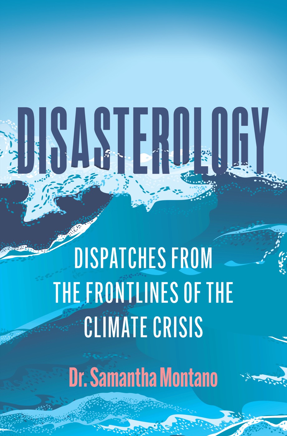 how to avoid climate disaster book