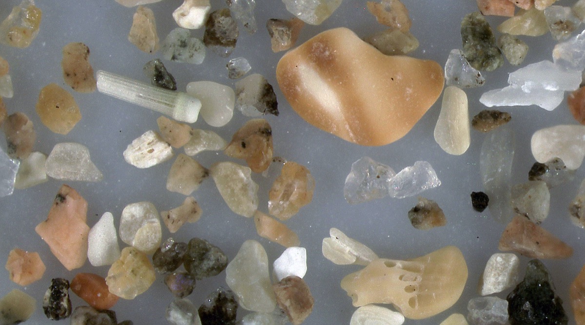 Where Does The Sand On Our Beaches Come From?
