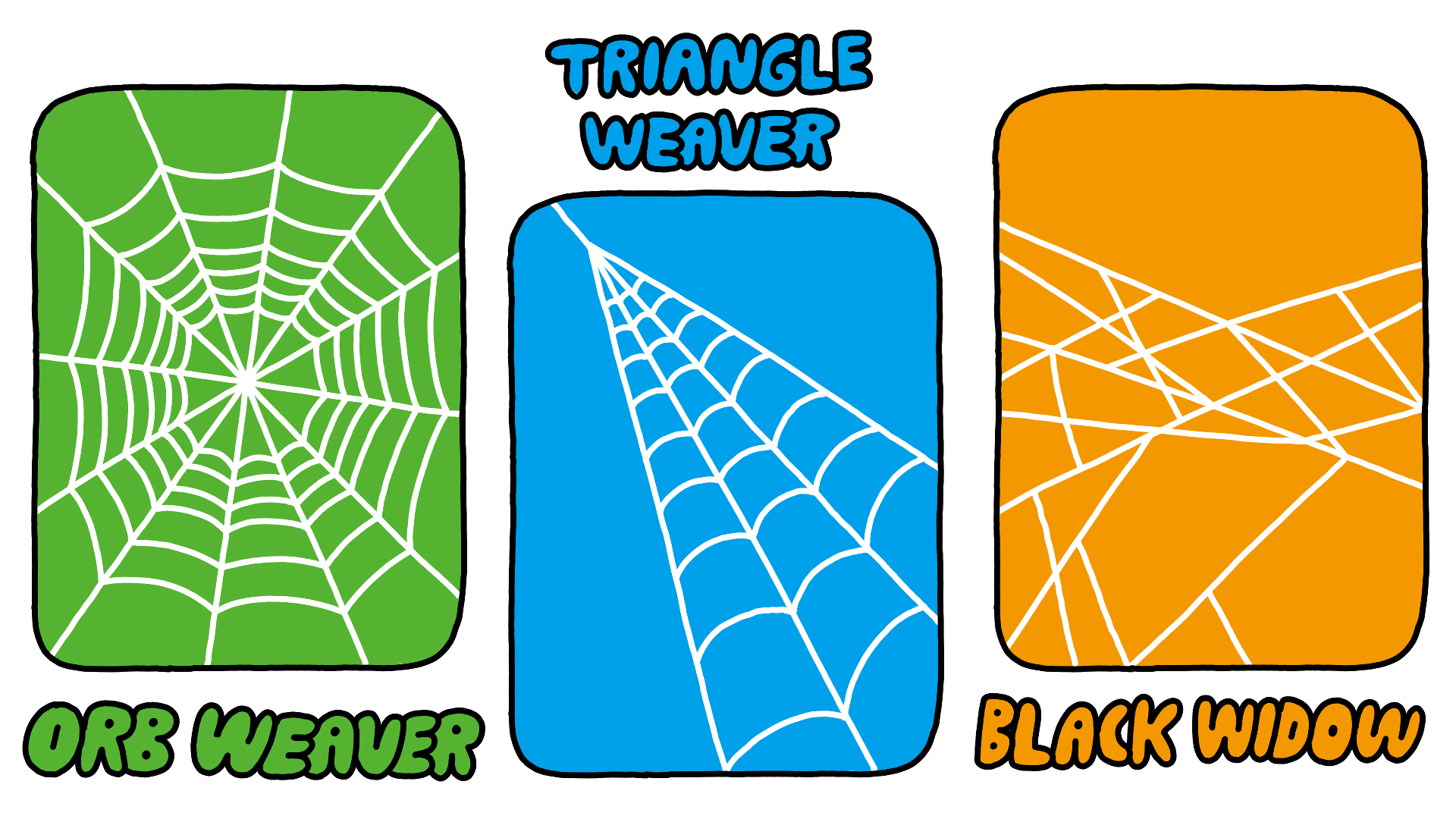 Spider Webs: A Tangled Spring Of Force And Energy