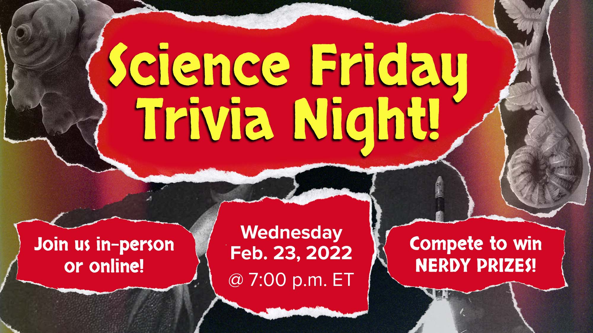 Bring Your Brainy Buds To SciFri Trivia Night At Caveat NYC!