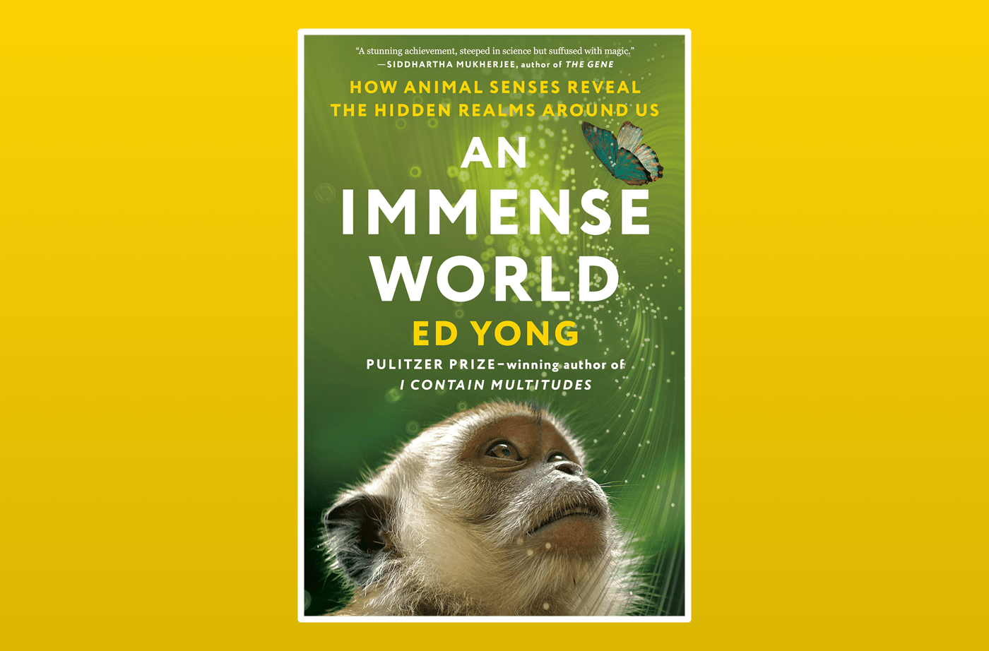 In 'An Immense World', Ed Yong dives deep into animal senses : NPR