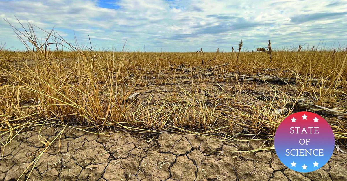 Drought In Western Kansas Exacerbates Global Wheat Shortage