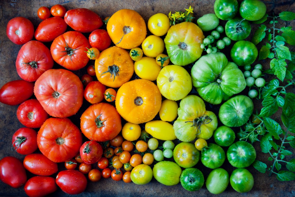 Identifying fresh vegetables - Nutrition