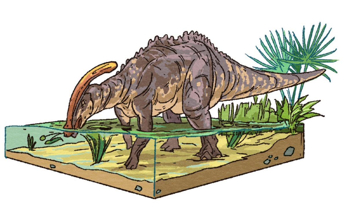 HOW TO DRAW AND COLOR ONE OF THE LARGEST AND STRONGEST DINOSAURS: TIRANOSSAURO  REX 
