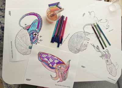 Printed coloring sheets of cephalopods in the process of being filled. Markers and colored pencils sit on the table. 