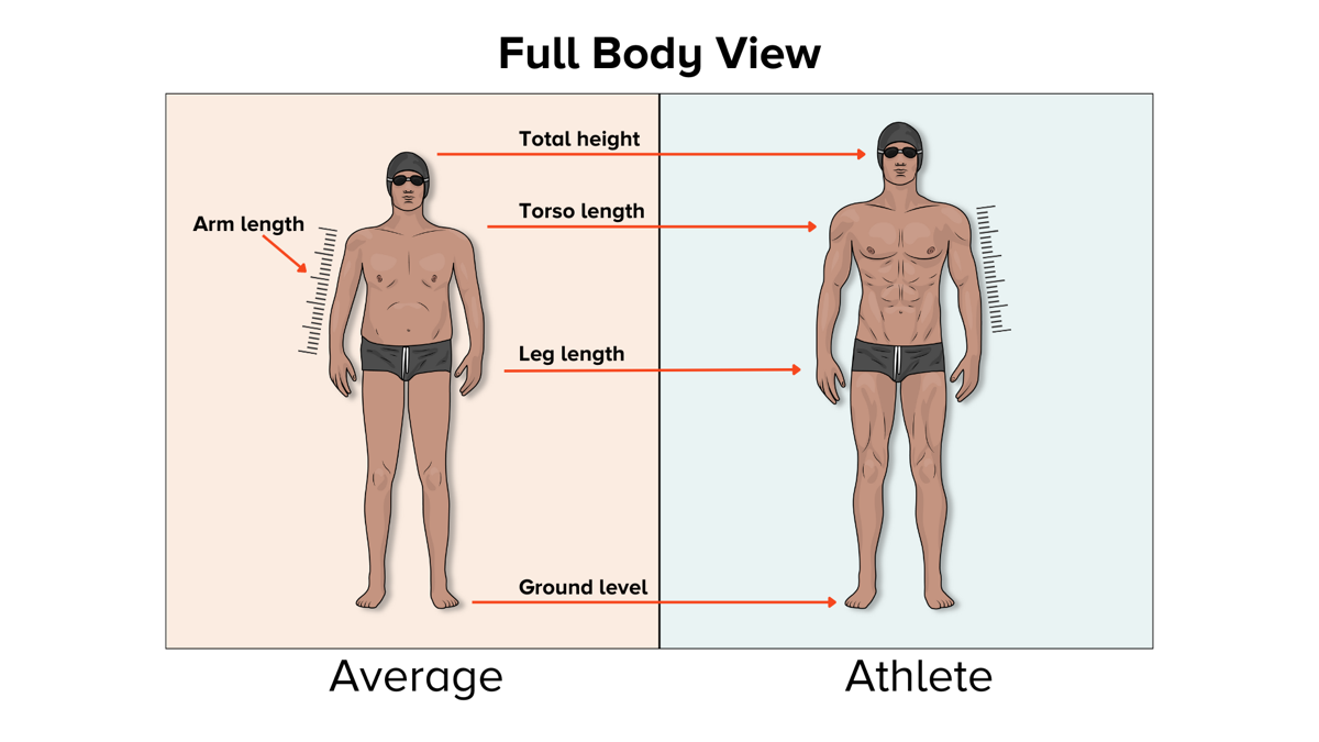 How to go from having an average body to having an athletic body