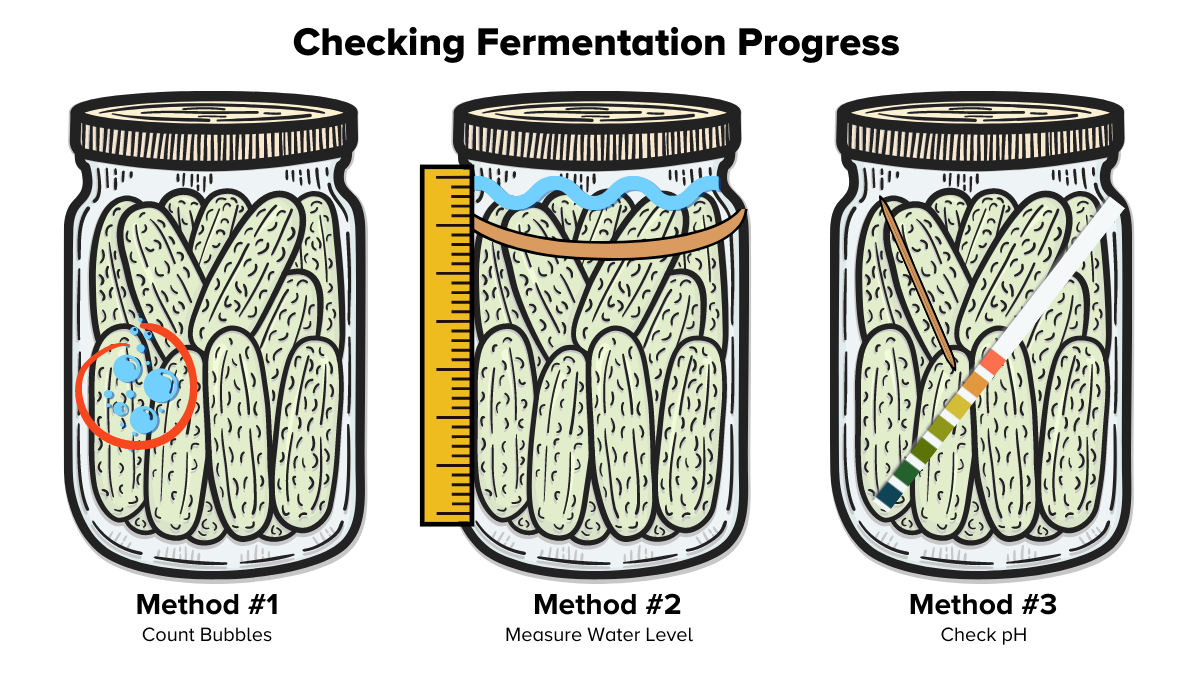 Stinky And Delicious: Why Fermentation Makes Great Food