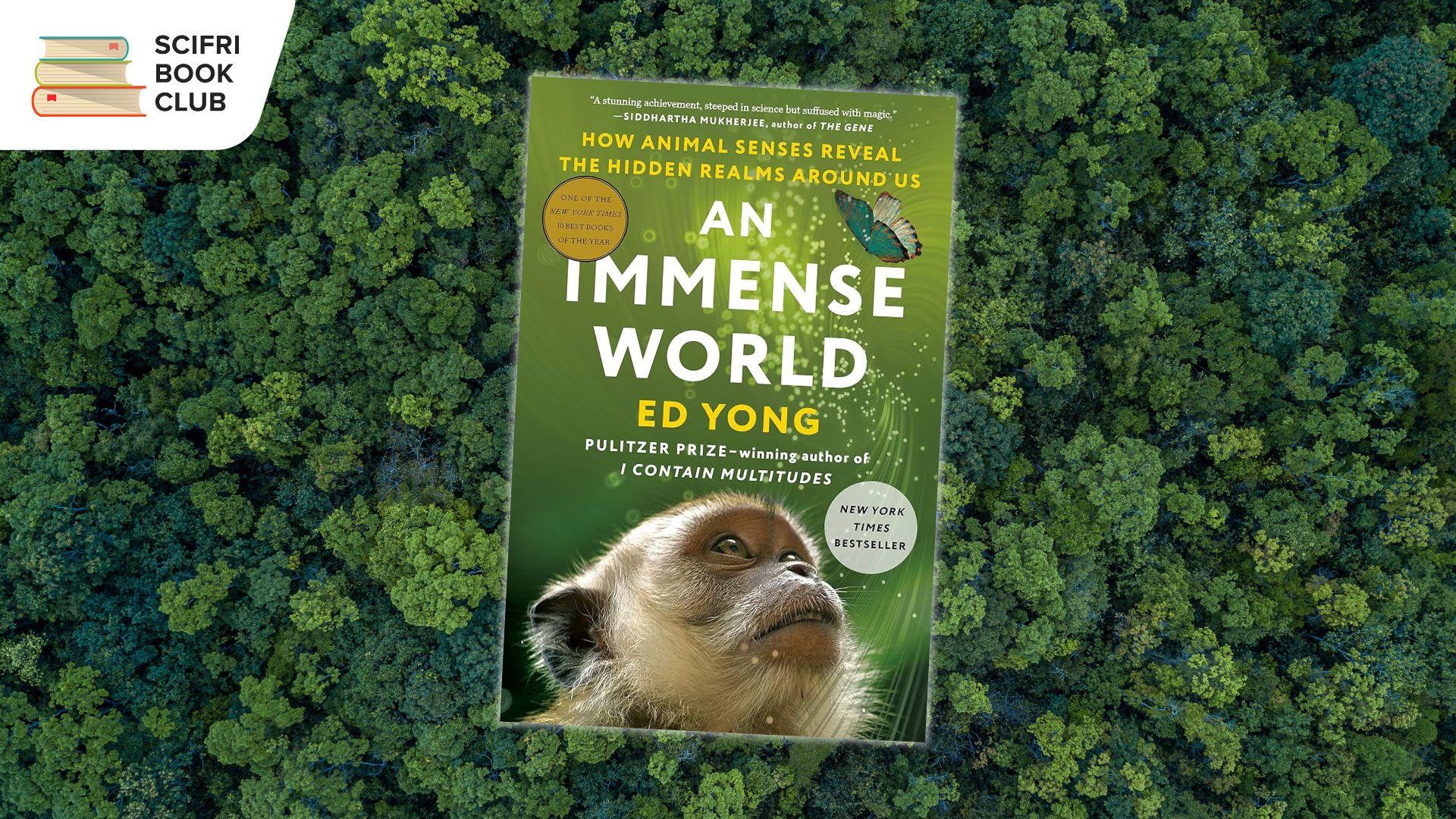 Read 'An Immense World' With The SciFri Book Club