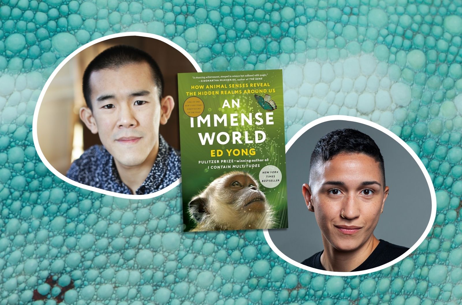 An Immense World: How Animal Senses Reveal the Hidden Realms around Us by  Ed Yong, Paperback