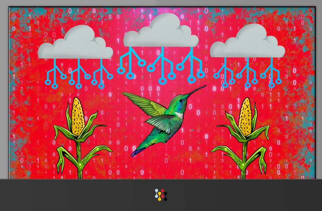 A computer screen with three clouds, which rain numbers and data down on a hummingbird and two stalks of corn.