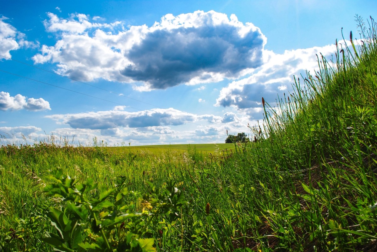 Iowa prairie in summer with blue sky and fluffy clouds.