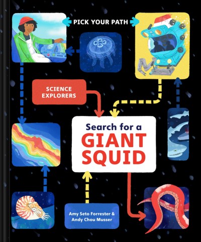 Book cover for Search for a Giant Squid