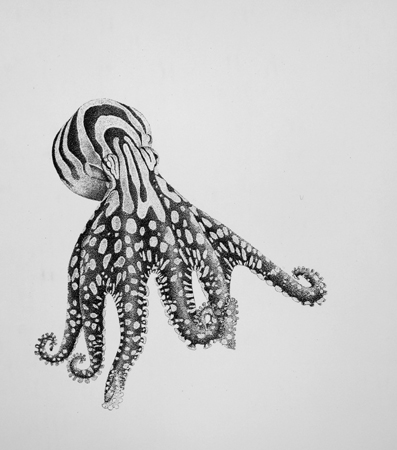 An illustraton of an ocotpus with stripes and dots all over its body.