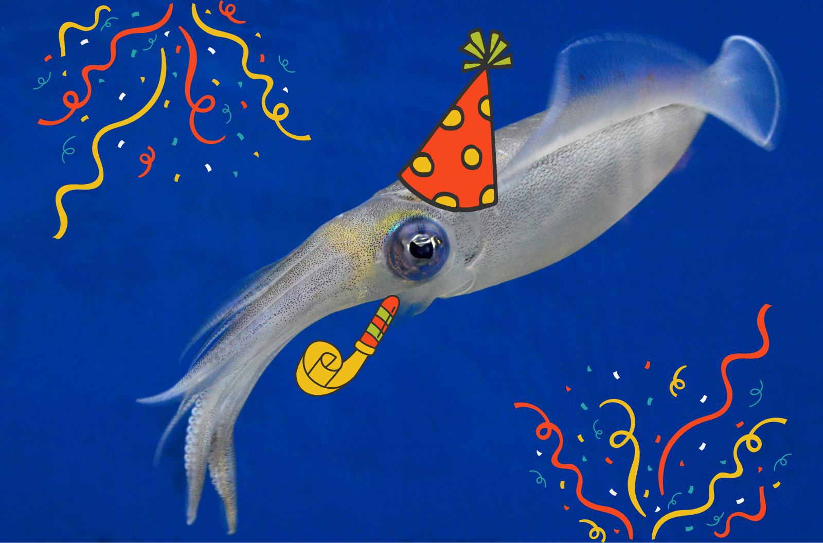 A silvery squid against a blue background. It's wearing a party hat and has a party blower. There are streamers in colorful colors surrounding it.