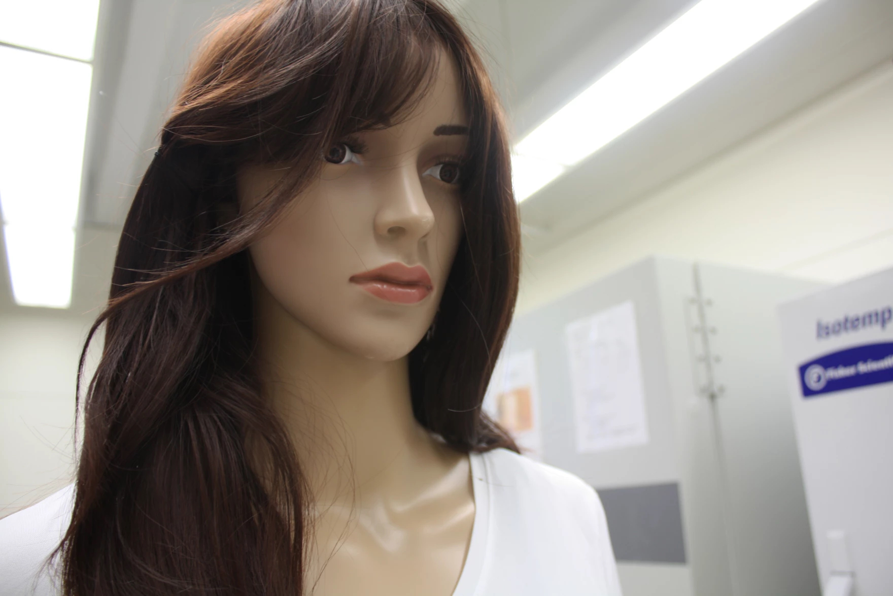 The face of a female mannequin wearing a brunette wig