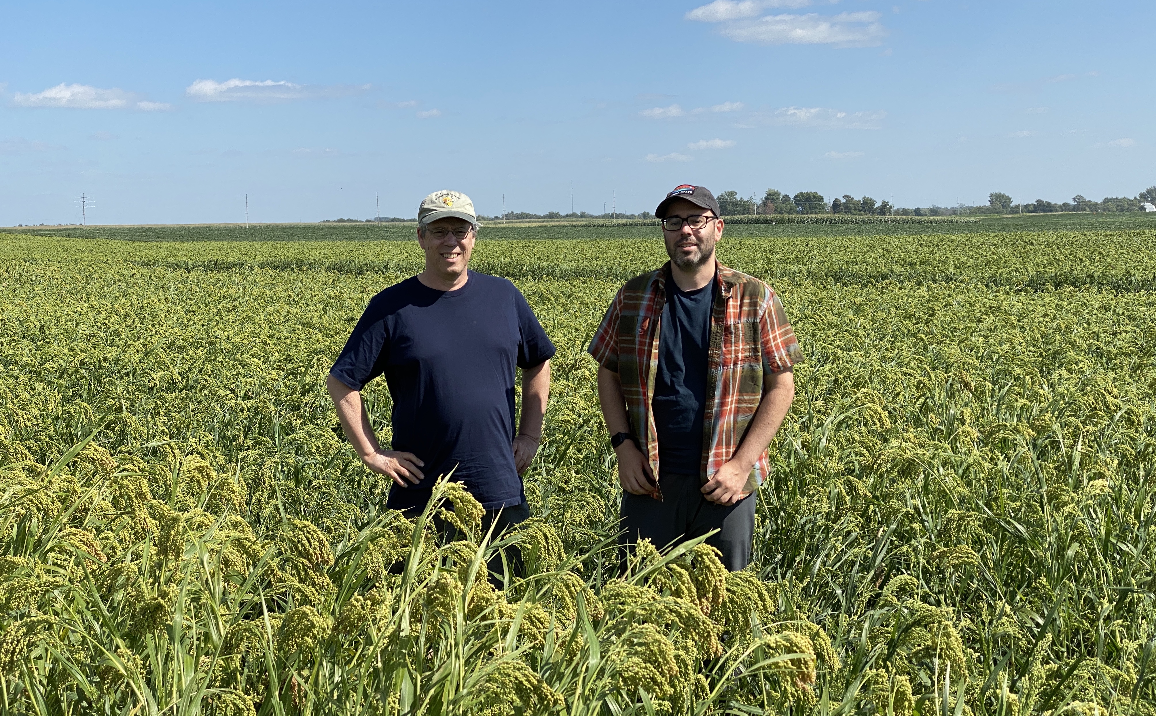 Two men standing in a sunny field