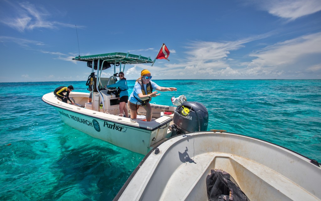 A woman tosses a flag from the boat she's standing in to another boat.