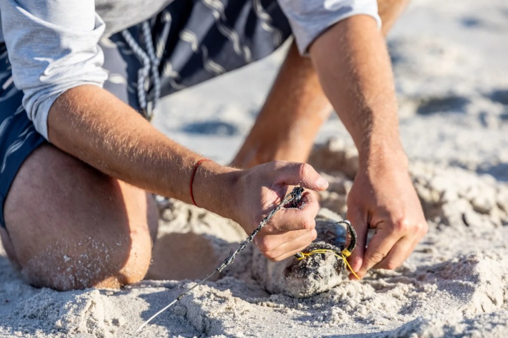 A man skewers a fish with a hook on a sandy beach