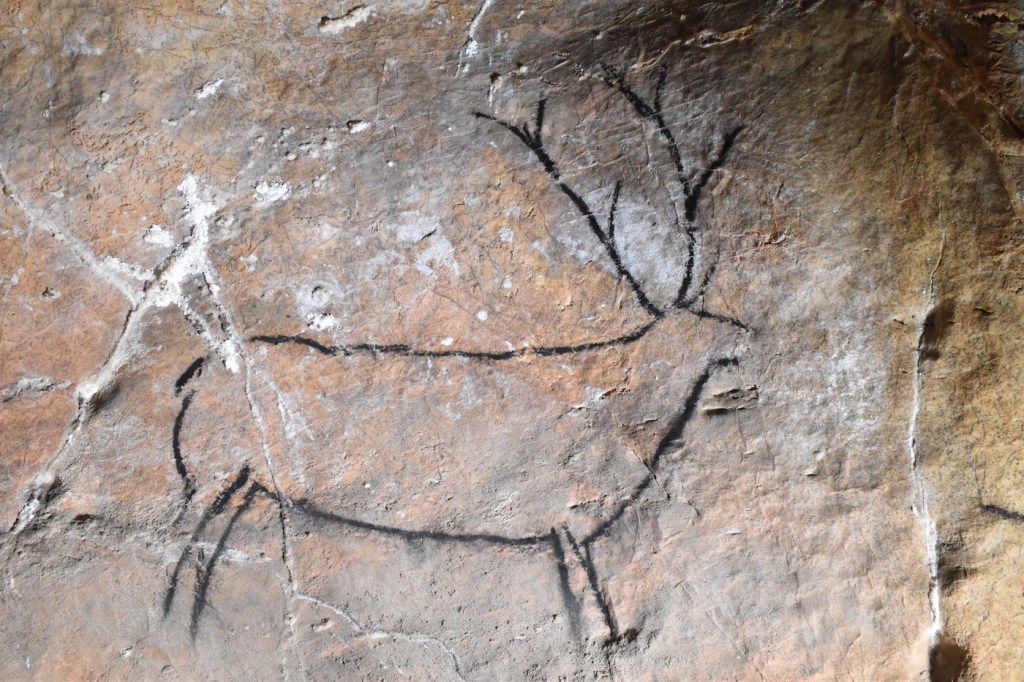 A charcoal drawing of a deer on a cave wall.