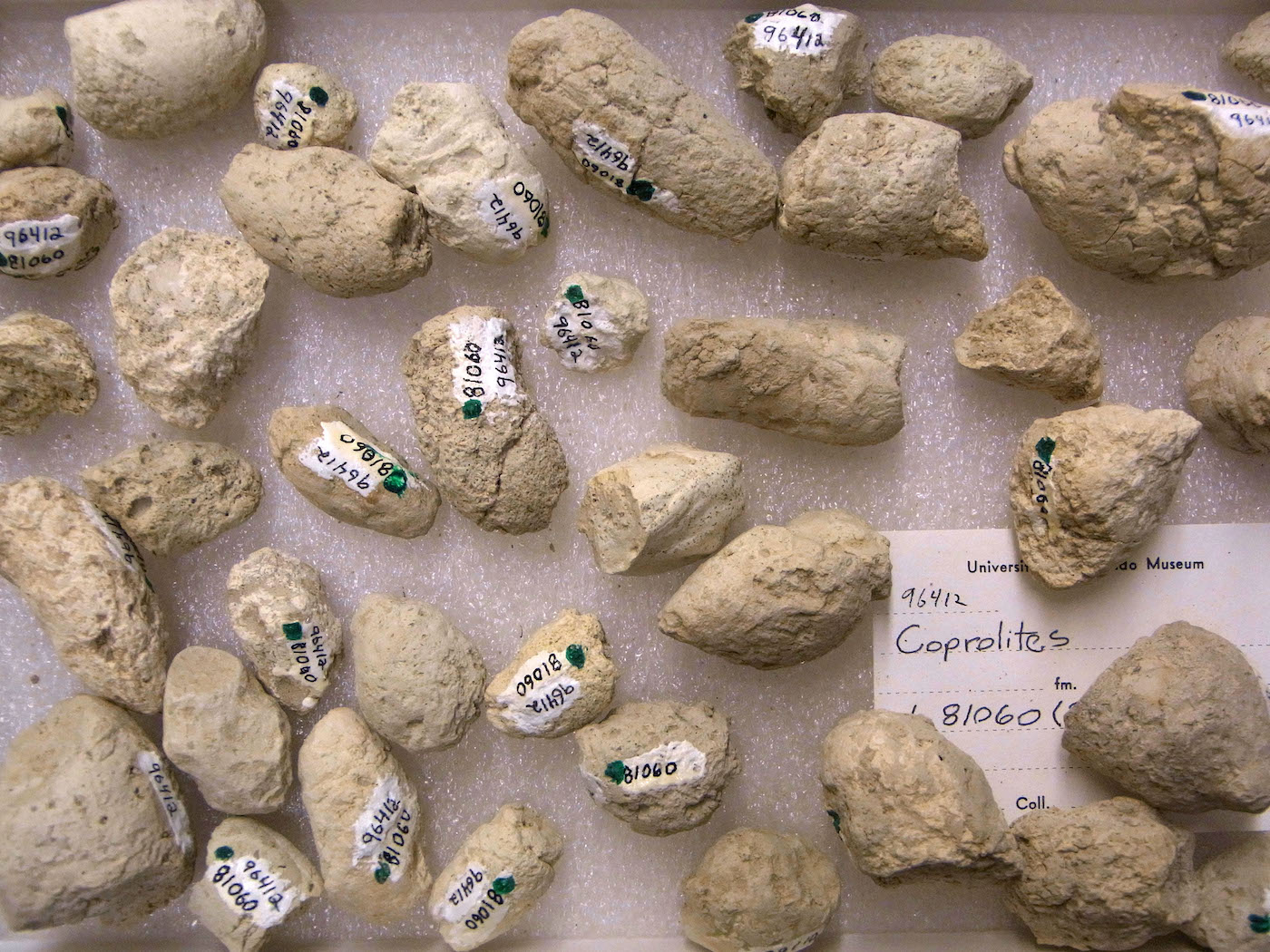 A group of beige lumps with labels written on them.