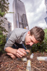 A white man crouched down on mulch and grass holding a small cube over four open test tubes. A skyscraper towers behind him.