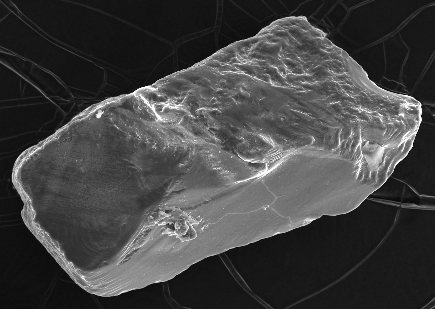 A very enlarged photo of a grain of sand.