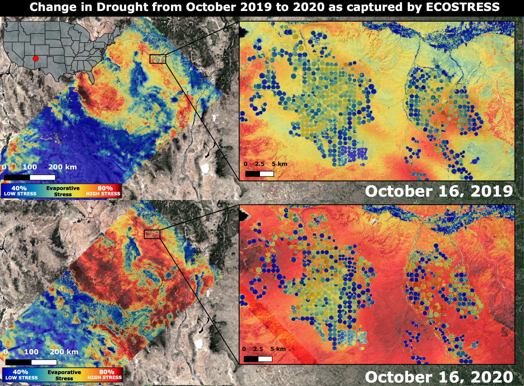 This image shows a pair of maps representing a change in drought conditions in the same location captured by ECOSTRESS. The top map is from October 16, 2019. The bottom map is from October 16, 2020. Each map includes a larger regional view and a zoomed-in area highlighted by a black rectangle. The maps use a color scale ranging from blue (low stress/40% evaporative stress) to red (high stress/80% evaporative stress). The regional views show a satellite image with colored overlays indicating stress levels. The zoomed-in views show more detailed patterns with blue dots scattered throughout. The image includes scale bars for regional (0 to 100 to 200 km) and zoomed-in (0 to 2.5 to 5 km) views. The image on the top shows many areas in yellow, while the bottom image shows many areas in red.