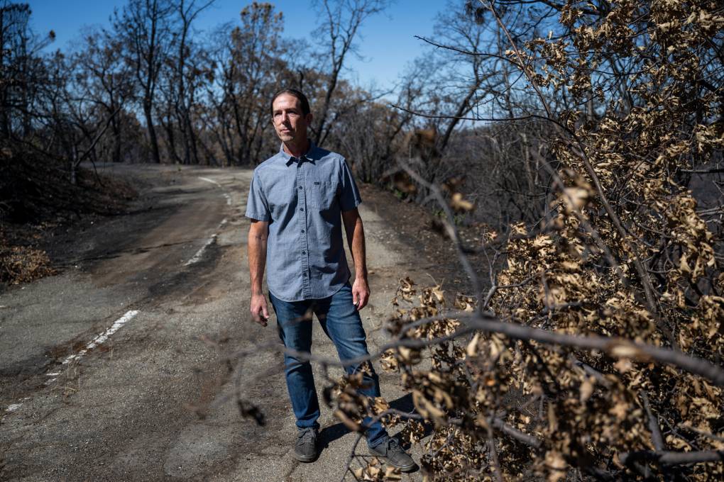 A man standing on the side of a road, surrounded by burnt trees.