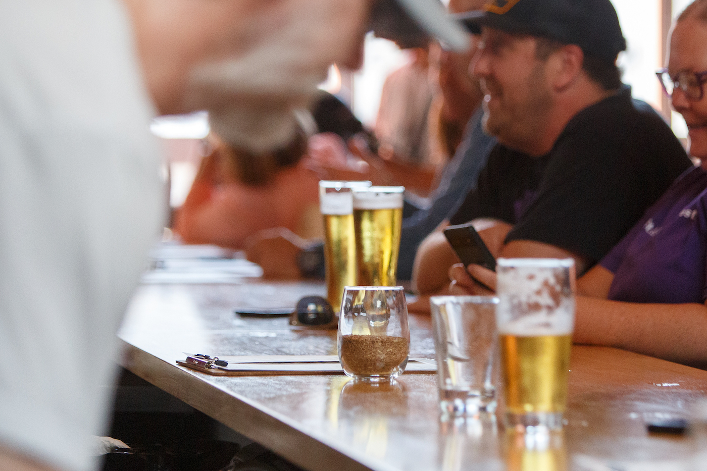 Patrons sit at a bar with full glasses of beer, and a cup of kernza sits on the bar.