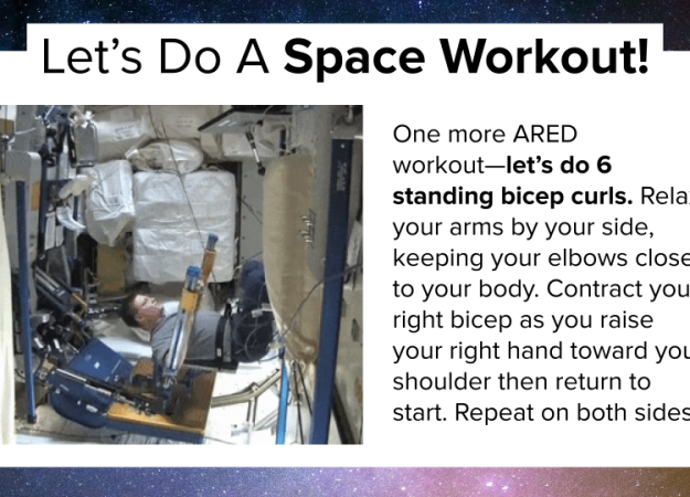 An astronaut does squats using the ARED machine.